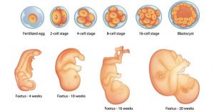 Why and How to Let Go of Fear