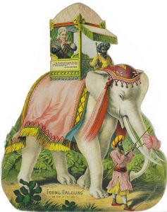 Race and the White Elephant War of 1884 34 Race and the White Elephant War of 1884