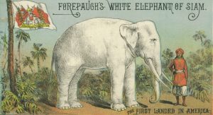 Race and the White Elephant War of 1884 20 101117-07-Racism-White-Elephant-War