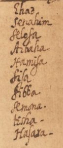 The Manuscripts of Luis de Carvajal 28 The Manuscripts of Luis de Carvajal