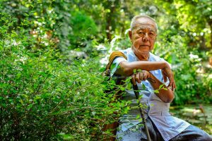 Thai Historian Could Face 15 Years in Prison for ‘Insulting’ a 16th-Century King 6 Thai Historian Could Face 15 Years in Prison for ‘Insulting’ a 16th-Century King