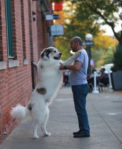 The Science of Fright: Why We Love to be Scared