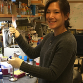 Why aren't We Curing the World's Most Curable Diseases? 4 Why aren't We Curing the World's Most Curable Diseases?