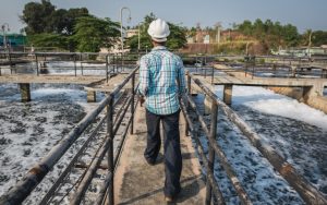 Superbugs Evolve in Wastewater, and Could End up in Our Food