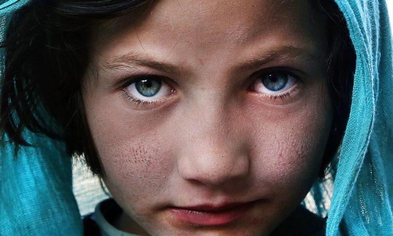 110817-29-Evolution-Biology