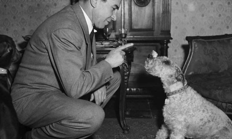 111117-04-Cognitive-Dissonance-Logic