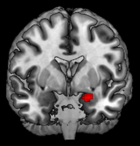 Believing in the Kindness of Strangers