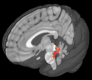 Believing in the Kindness of Strangers