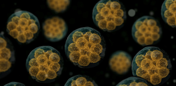 111617-46-Medicine-Nanobots-Organs