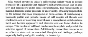 Social Media as Masochism 23 Social Media as Masochism