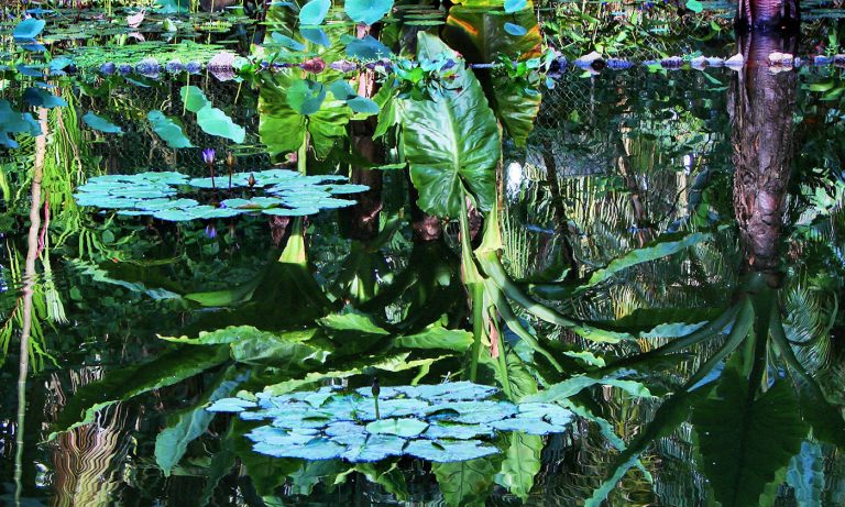 120117-39-Black-Hole-Astronomy-Space