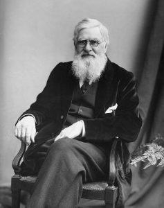 Alfred Russel Wallace: A Heretic’s Heretic 20 Alfred Russel Wallace: A Heretic’s Heretic