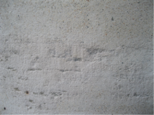 Engineering of Saint Peter's Basilica 79 Engineering of Saint Peter's Basilica