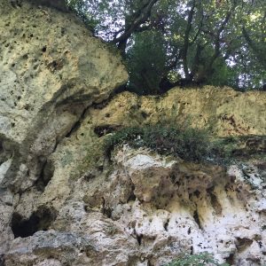 Water and the Development of Ancient Rome 62 Water and the Development of Ancient Rome