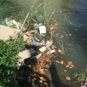 Water and the Development of Ancient Rome 81 Water and the Development of Ancient Rome