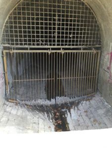 Water and the Development of Ancient Rome 82 Water and the Development of Ancient Rome