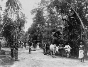 Elizabeth Bisland’s Race Around the World 27 Elizabeth Bisland’s Race Around the World