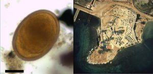 Ancient Faeces Reveal Parasites Described in Earliest Greek Medical Texts 15 121517-01-Greece-Medicine-History