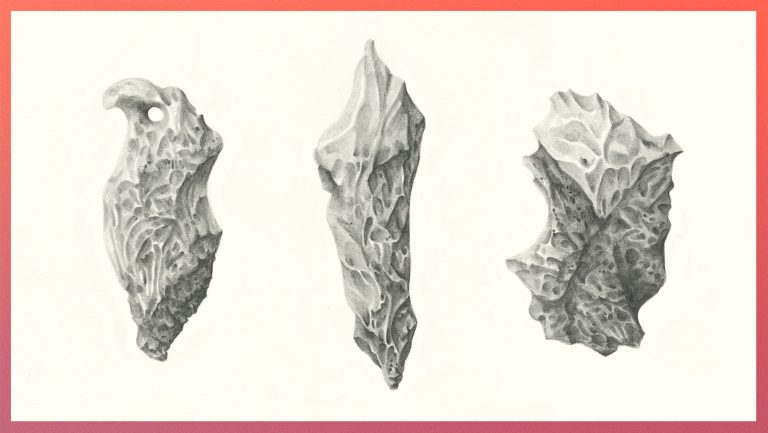 121717-11-Genetics-Biology-Evolution