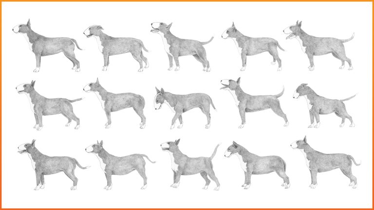 121717-27-Mental-Health-Dogs-OCD