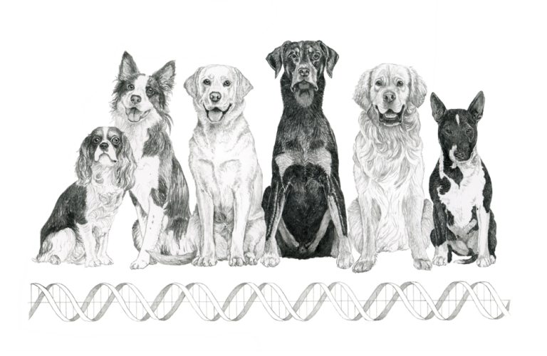 Meet the Dogs with OCD Brewminate: A Bold Blend of News and Ideas