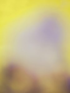 My Sudden Synaesthesia: How I Went Blind and Started Hearing Colors