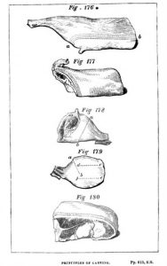 How Early Cookbooks Sparked a Lifestyle Revolution 32 How Early Cookbooks Sparked a Lifestyle Revolution