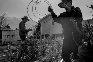 The Bomb that Went Off Twice