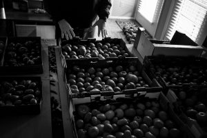 The Bomb that Went Off Twice