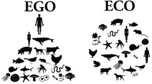 Envisioning Alternate Futures: Nature in the Making of the Metropolis