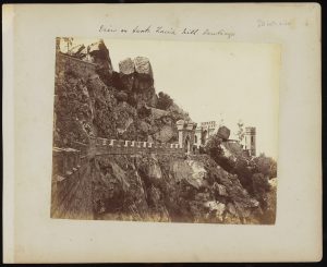 Envisioning Alternate Futures: Nature in the Making of the Metropolis