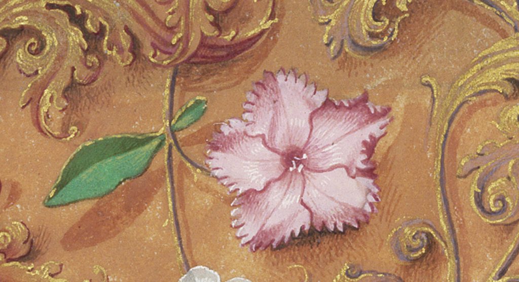 Spring Motto Renaissance Flowers in Renaissance Manuscripts and Their Symbolism