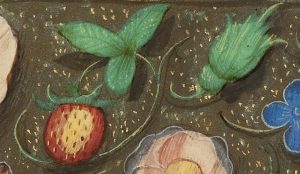 Flowers in Renaissance Manuscripts and Their Symbolism 37 Flowers in Renaissance Manuscripts and Their Symbolism