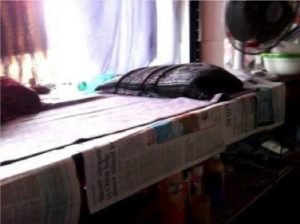 A Modern Day Slave 20 A Modern Day Slave