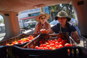 A Radical Vision for Food: Everyone Growing It for Each Other