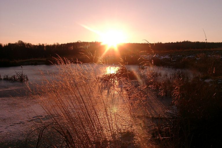 122617-03-Historiography