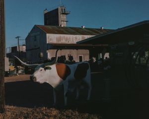 ‘What are We Going to Do about Tyler?’