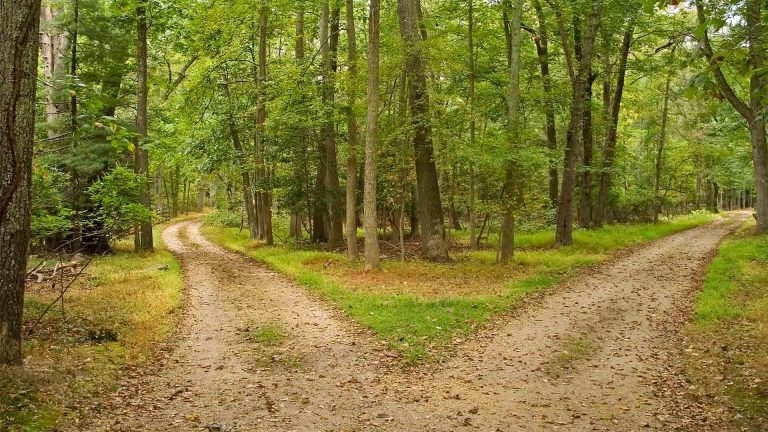 123017-81-Free-Will-Philosophy