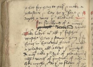 Censorship of Medieval English Recipes