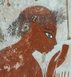 Paintings from the Ancient Tomb-Chapel of Nebamun 50 Paintings from the Ancient Tomb-Chapel of Nebamun