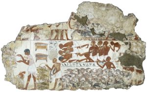 Paintings from the Ancient Tomb-Chapel of Nebamun 53 Paintings from the Ancient Tomb-Chapel of Nebamun