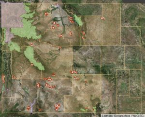 Rep. Cheney Eyeing Another Wilderness Bill