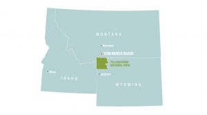 These Montana Ranchers are Helping Grizzlies, Wolves, and Cattle Coexist