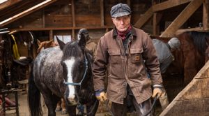 These Montana Ranchers are Helping Grizzlies, Wolves, and Cattle Coexist