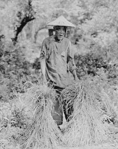 Yvette Borup Andrews: Photographing Central Asia in the Early 20th Century 44 Yvette Borup Andrews: Photographing Central Asia in the Early 20th Century