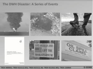 The Sociocultural Effects of Deepwater Horizon