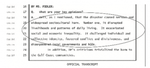 The Sociocultural Effects of Deepwater Horizon