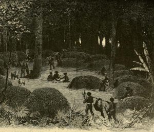 Henry Morton Stanley and the Pygmies: Stereotypes in Victorian Society 29 Henry Morton Stanley and the Pygmies: Stereotypes in Victorian Society