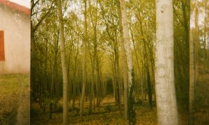 Belief in Supernatural Beings is Totally Natural - and False 1 011818-27-Religion-Supernatural-Science