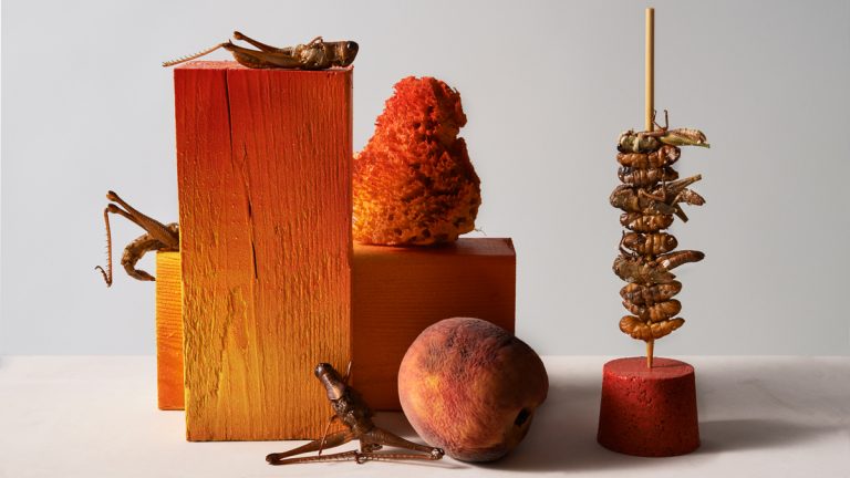 011918-16-Insects-Biology-Food-Evolution